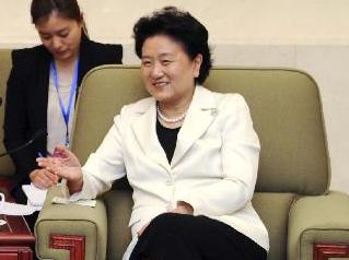 劉延東副総理が日本の与党女性国会議員団と会談