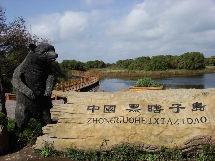 中国の国家級自然保護区、17ヶ所を新設へ