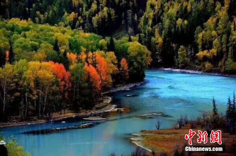 絵のように美しい新疆カナスの秋