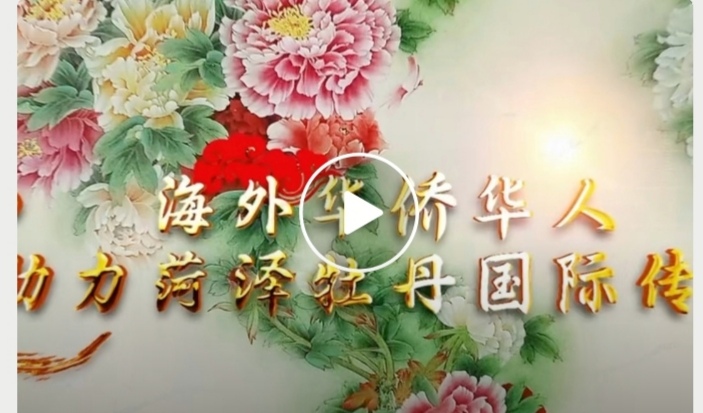 菏澤牡丹国際広がる論壇4月9日開催。海外ピア－ルに華僑華人が尽くして協力