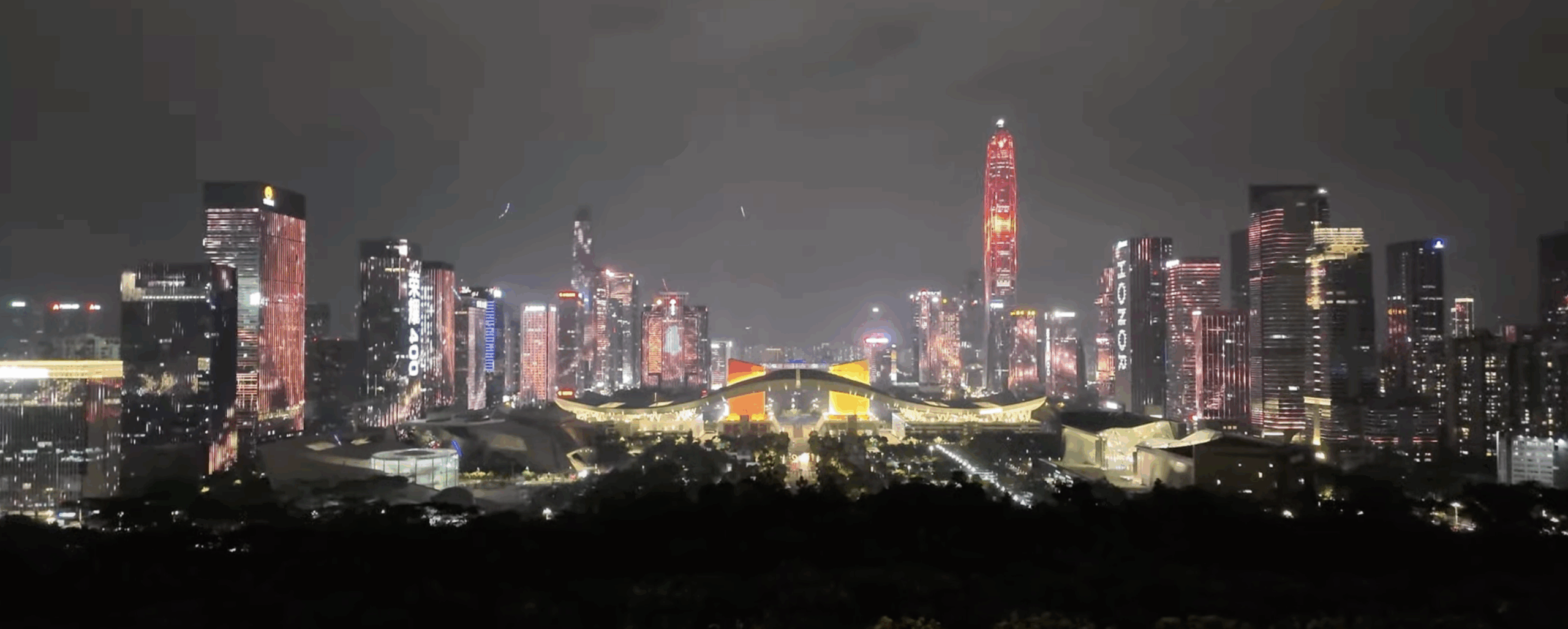 【2025年版】中国🇨🇳深セン福田ライトショー予約方法✨電話番号がなくても大丈夫！