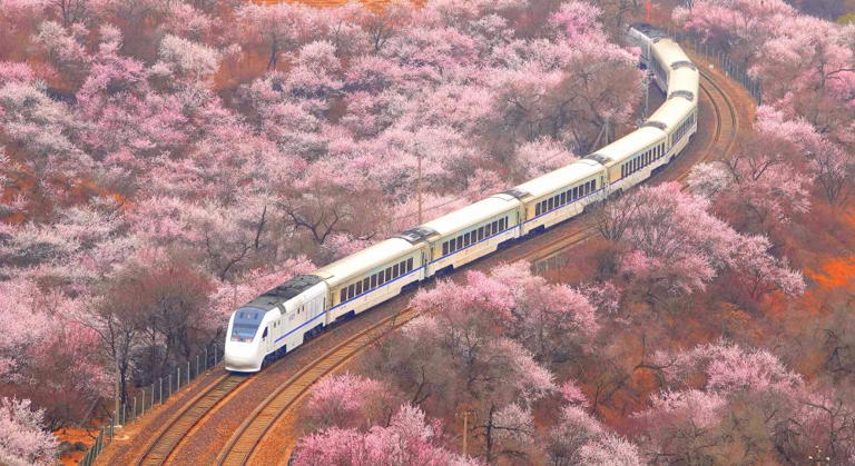 中国の鉄道利用客、1～3月は延べ10億人突破
