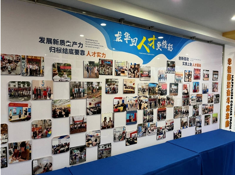 外国籍人材が海南で見る起業の夢